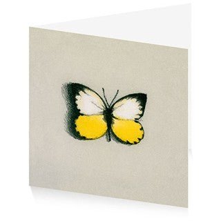 Butterfly - Lisa Milroy RA