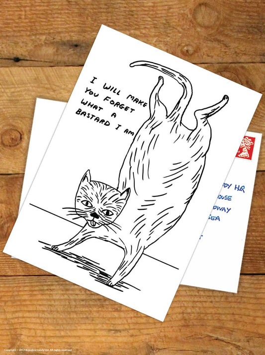 Funny A6 Art Postcard By David Shrigley - Bastard Cat