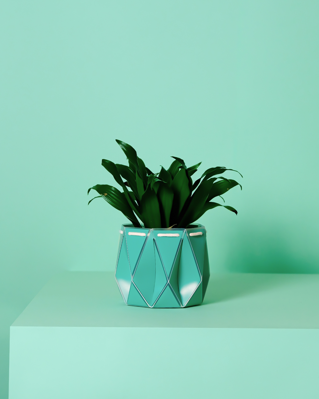 11cm Self-Watering Indoor Plant Pot | Aqua