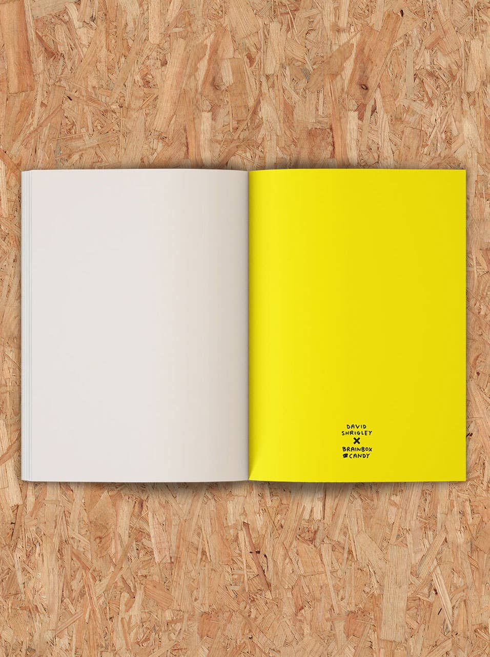 Funny Gift - Terrible Artwork Sketchbook by David Shrigley