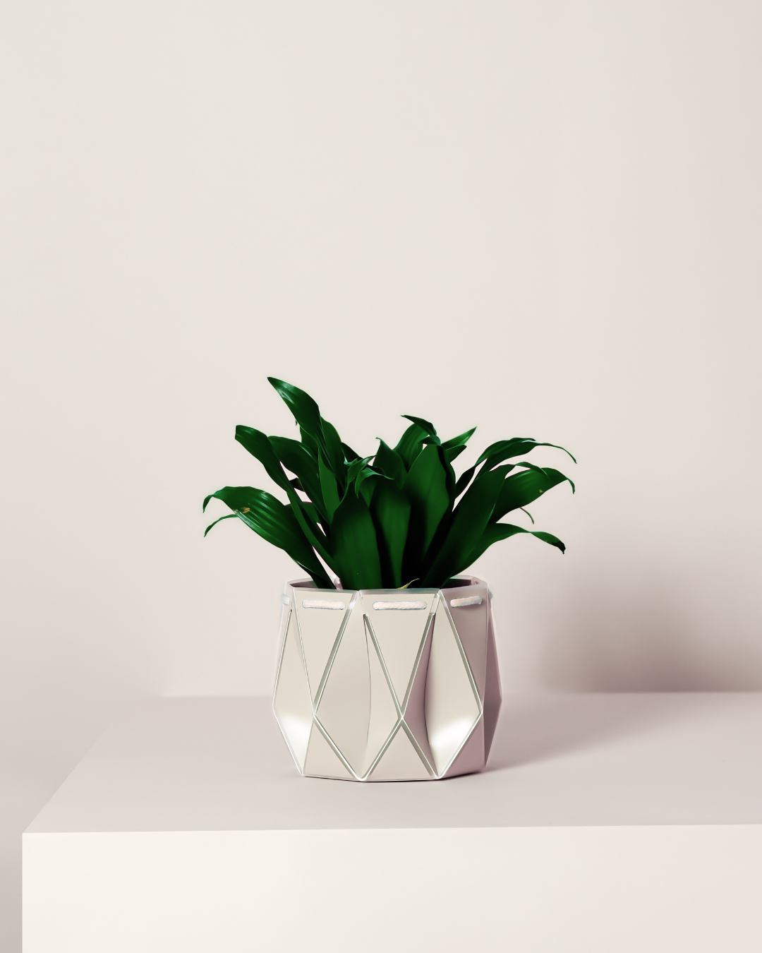 11cm Self-Watering Indoor Plant Pot | Ivory
