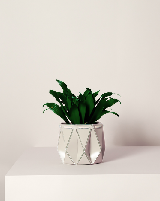 11cm Self-Watering Indoor Plant Pot | Ivory