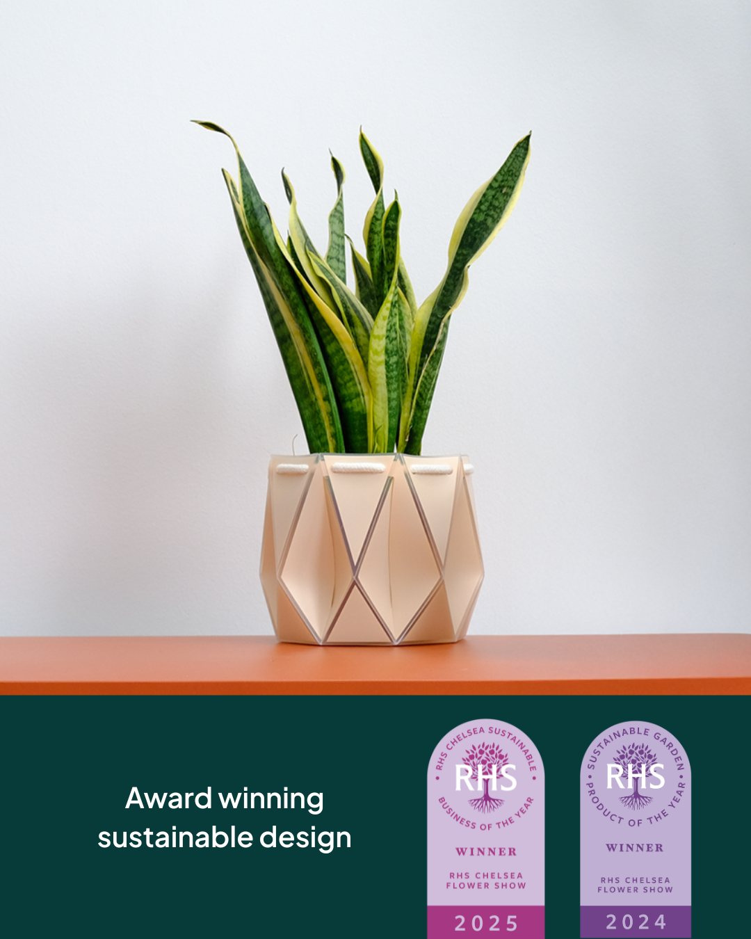 11cm Self-Watering Indoor Plant Pot | Ivory