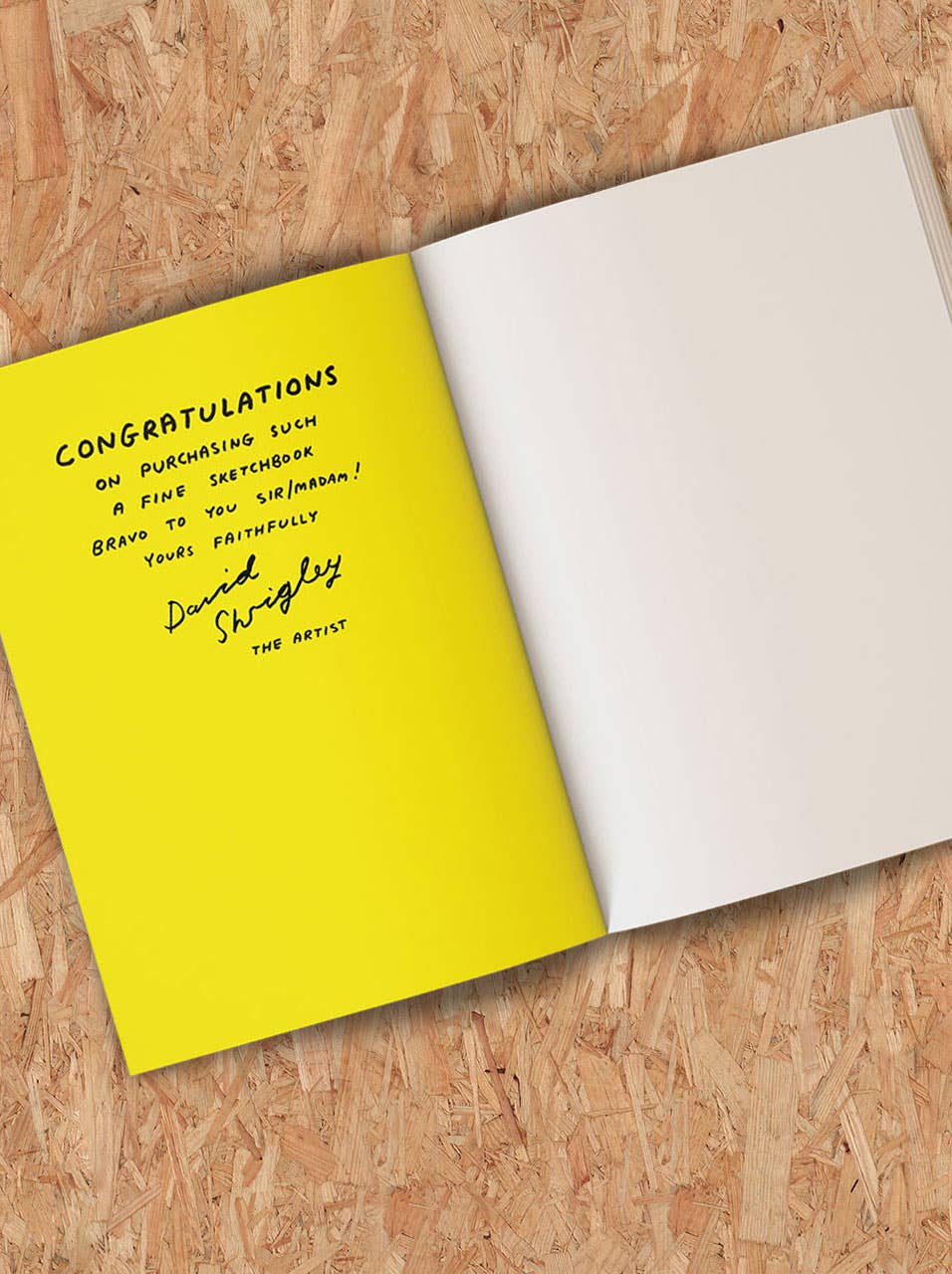 Funny Gift - Terrible Artwork Sketchbook by David Shrigley