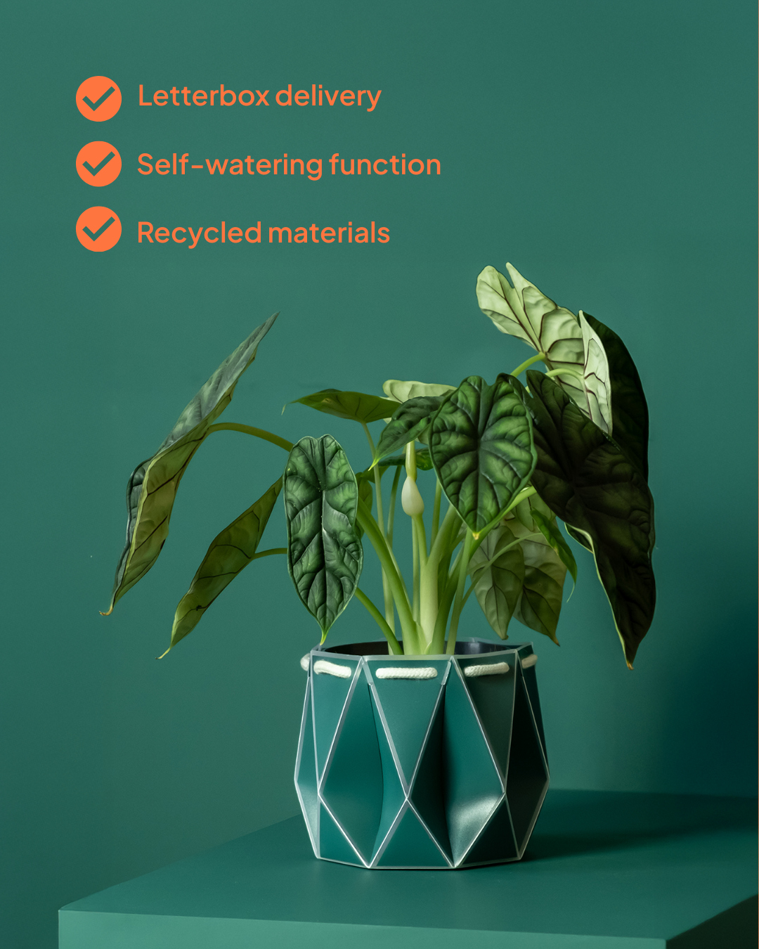 15cm Self-Watering Indoor Plant Pot | Dark Teal | Best Seller