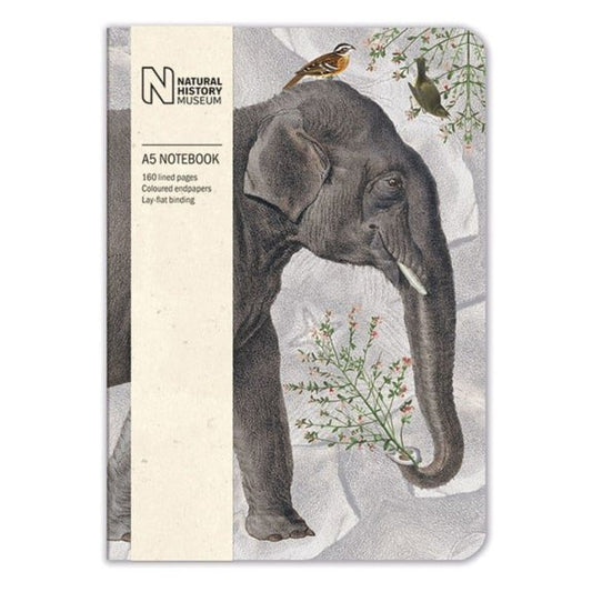Elephant A5 Luxury Notebook- National History Museum
