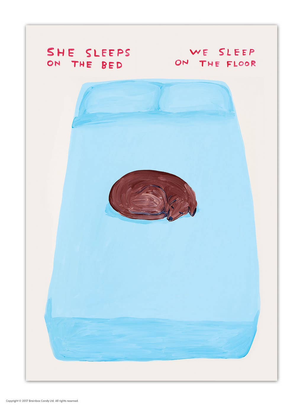 Funny A6 Art Postcard By David Shrigley - Sleeps On The Bed