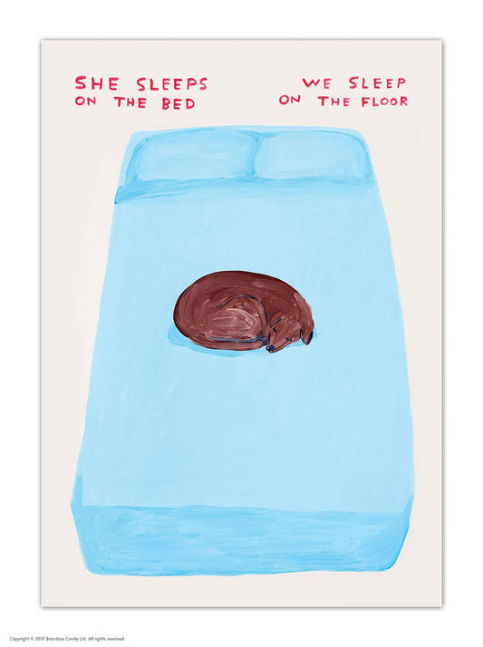 Funny A6 Art Postcard By David Shrigley - Sleeps On The Bed