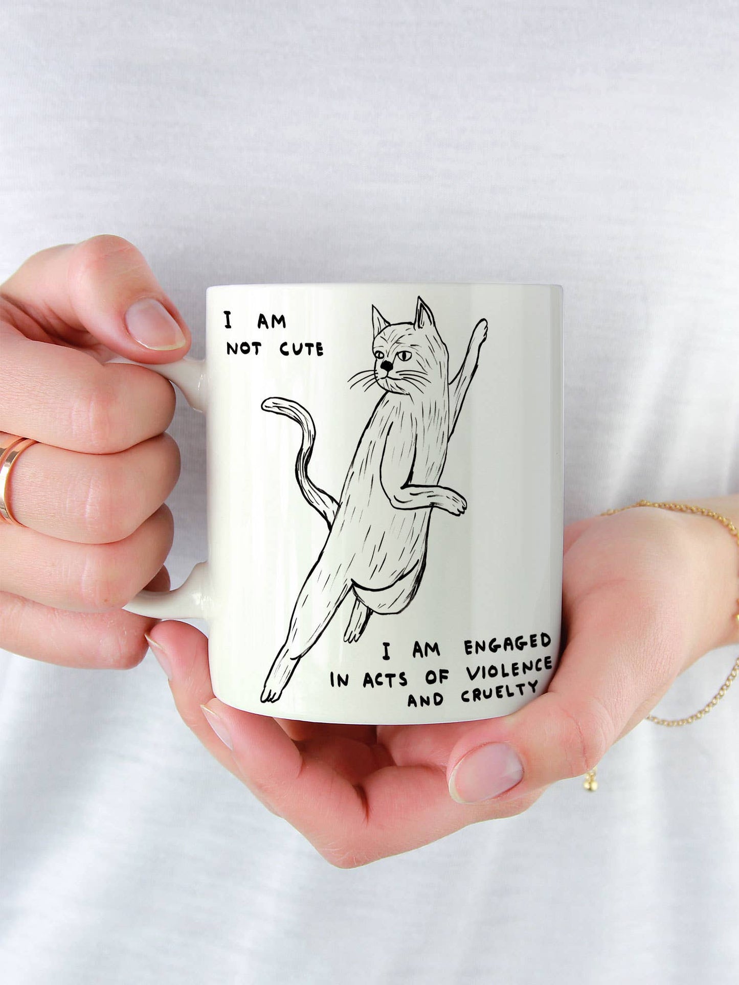 Funny Gift - I Am Not Cute Mug by David Shrigley