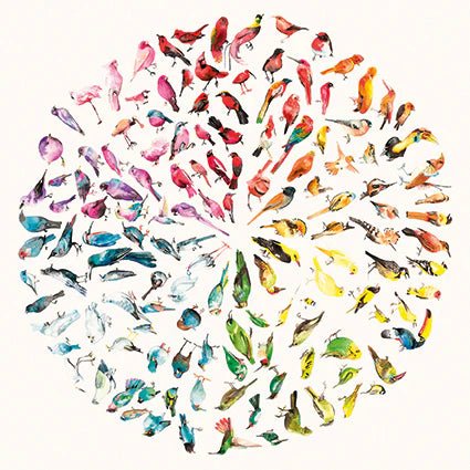 Jim Moir - Bird Colour Wheel Academy Edition