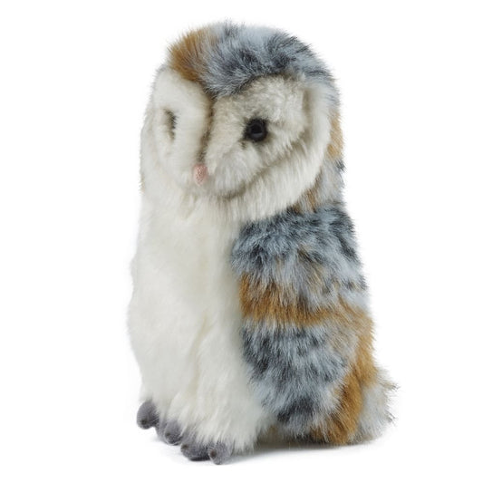 LIVING NATURE Barn Owl