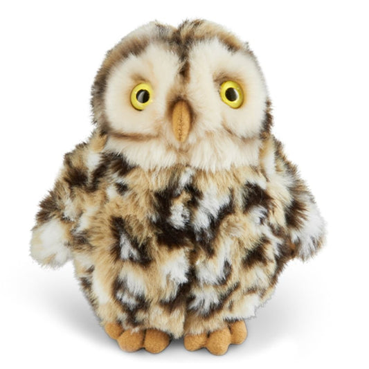 LIVING NATURE Little Owl