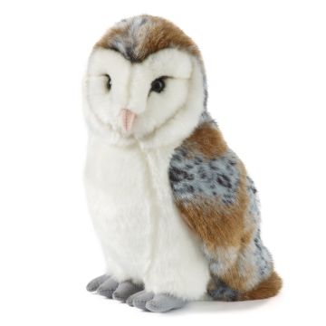 LIVING NATURE Large Barn Owl