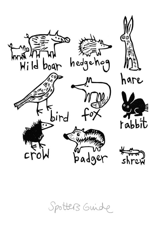 Spotter's Guide