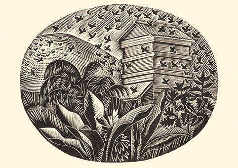 The Kitchen Garden in June - Eric Ravilious