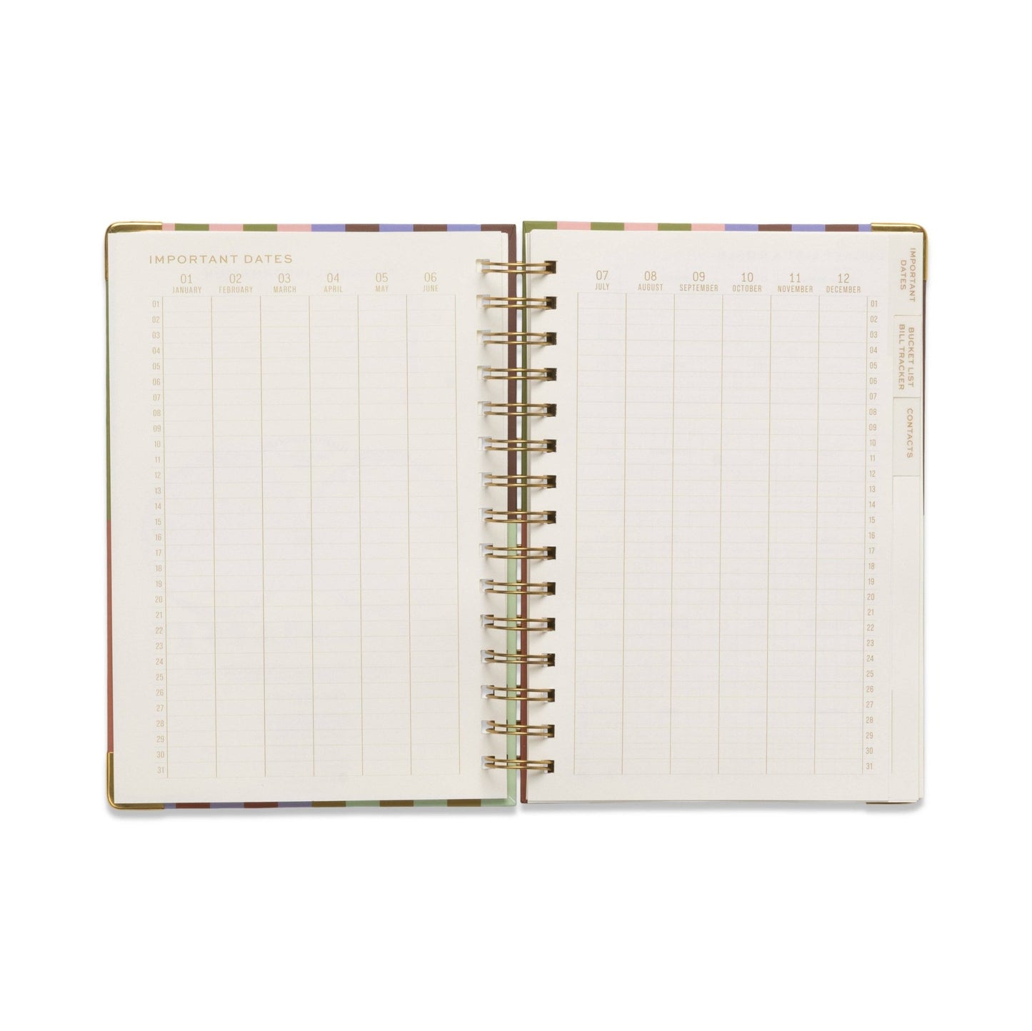 Undated 13 Month Perpetual Planner - Bold Stripe