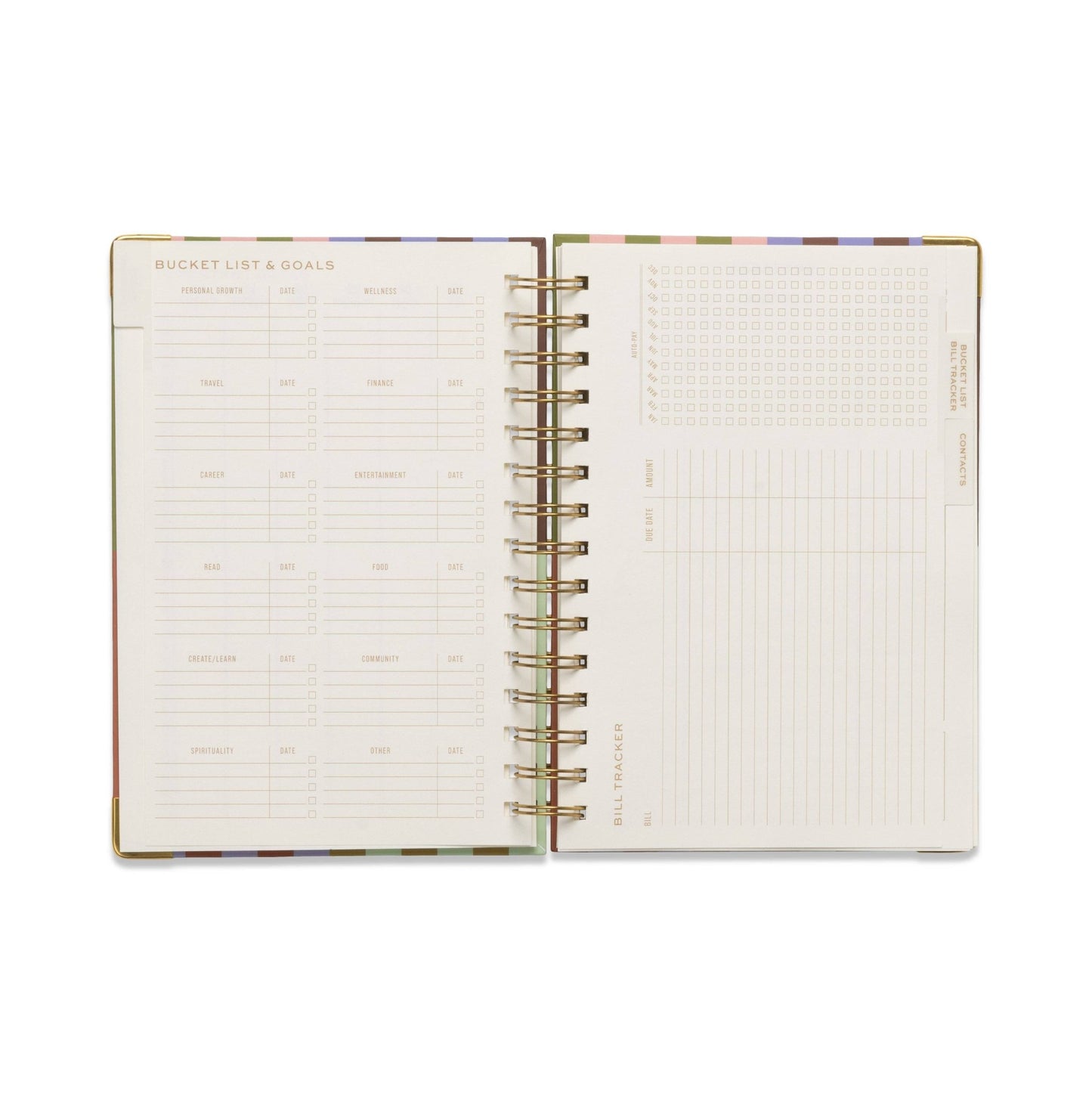 Undated 13 Month Perpetual Planner - Bold Stripe