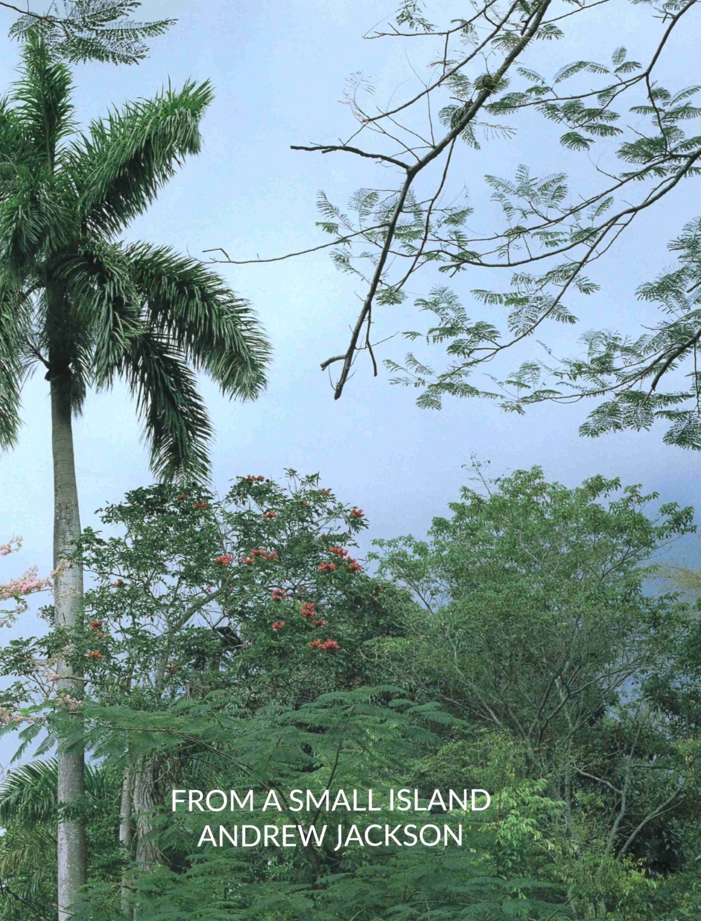 Andrew Jackson: From a Small Island
