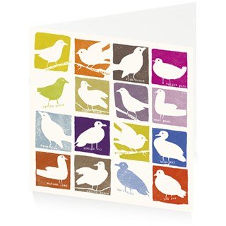 Bright Birds - Jenny Frean