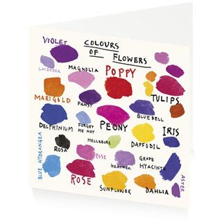 Colours of Flowers - Jenny Frean