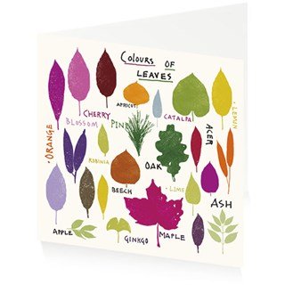 Colours of Leaves - Jenny Frean