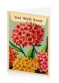 Get Well Soon - Healing Touch
