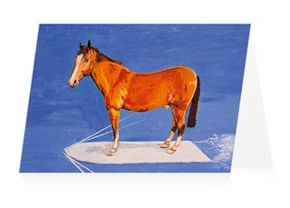 Horse on a Surfboard - Harry Hill