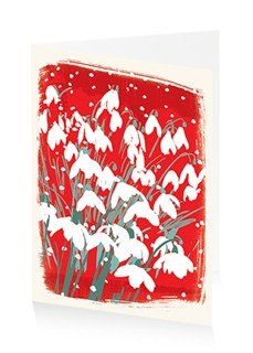 Snowdrops at Christmas - Christmas Card