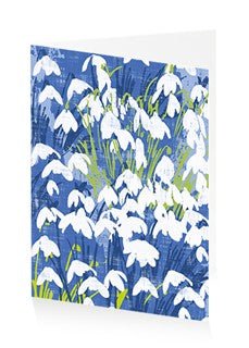 Snowdrops - Sympathy